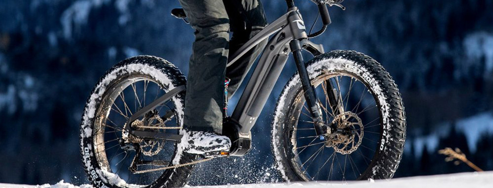 Electric Bike Battery