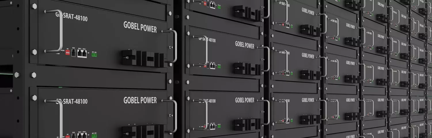 Battery Management System (BMS)