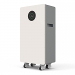 Gobel Power 51.2V 314Ah 16kWh LiFePO4 Server Battery