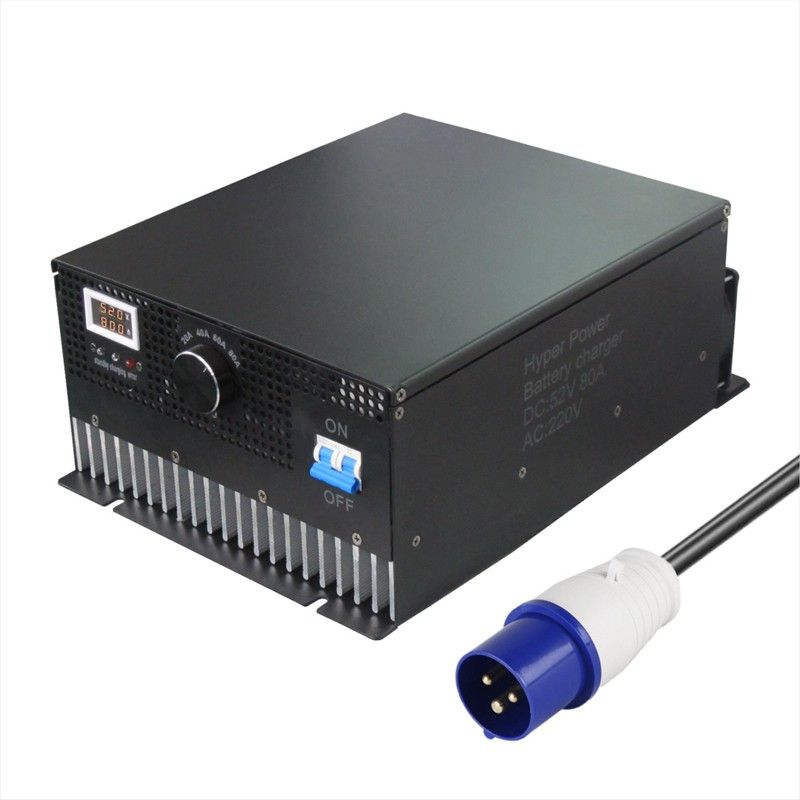 Wholesale 4500W LiFePO4 Lithium Battery Charger