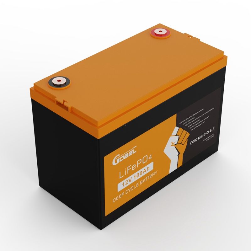 12V 100Ah LiFePO4 Battery Wholesale OEM