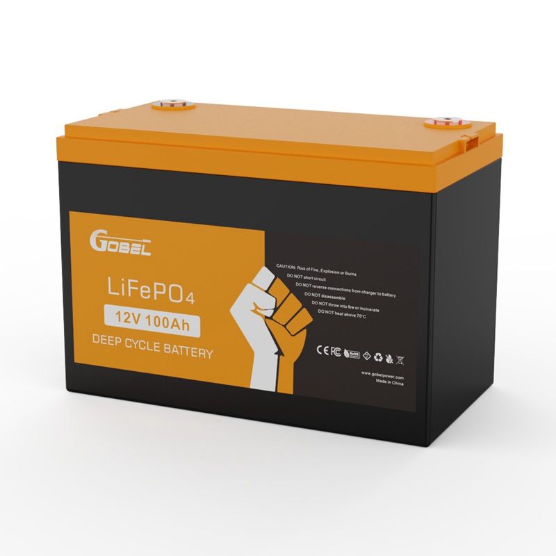 Wholesale 12V 100Ah LiFePO4 Battery Wholesale OEM