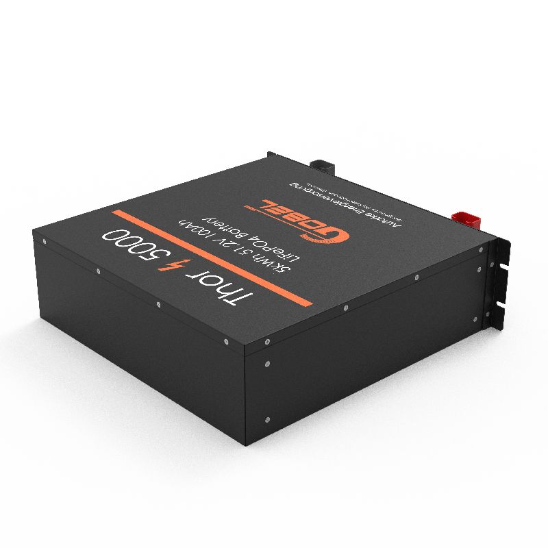 Wholesale Gobel Power Thor 5000 LFP Battery 51.2V 100Ah 5.1kWh LiFePO4 Server Rack Battery